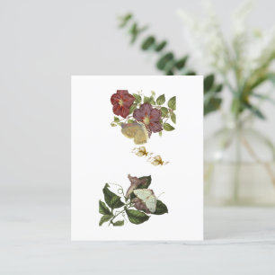 Feuilles de papier