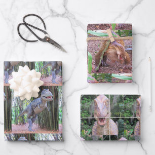 Feuilles de papier à enveloppement de dinosaure -