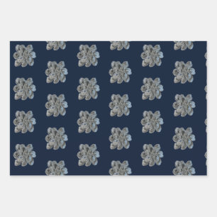 Feuilles de papier à envelopper 3 modèles d'ostréi