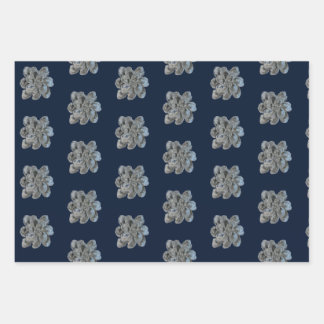 Feuilles de papier à envelopper 3 modèles d'ostréi