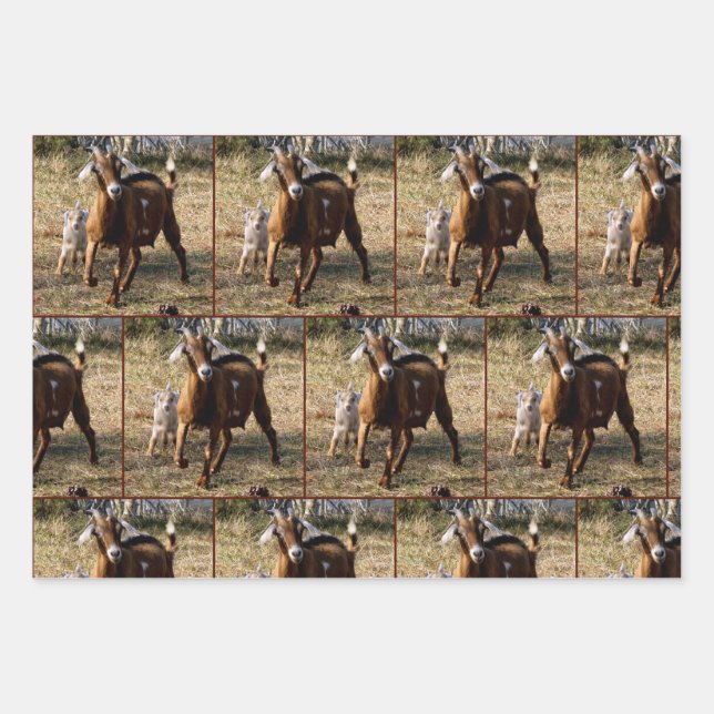 Feuilles de papier d'enveloppement de chèvre mamma (Devant)