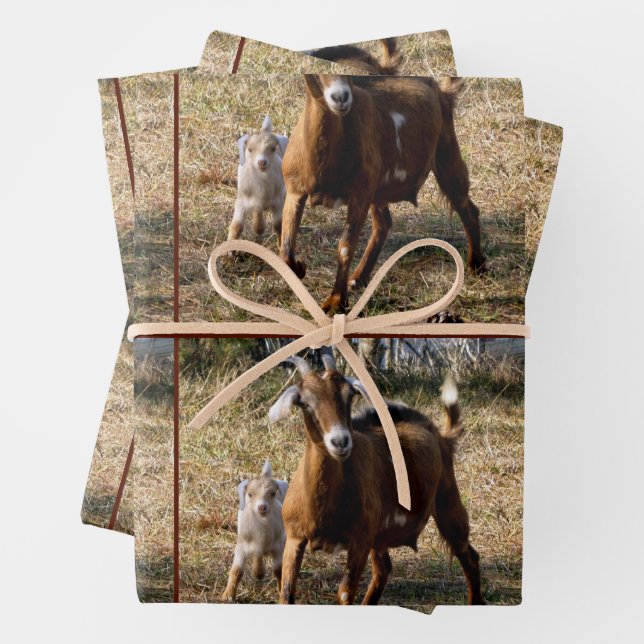 Feuilles de papier d'enveloppement de chèvre mamma (En situation)