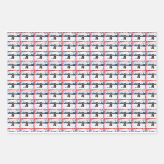 Feuilles de papier enveloppant de 19" x 29" de ber (Devant)