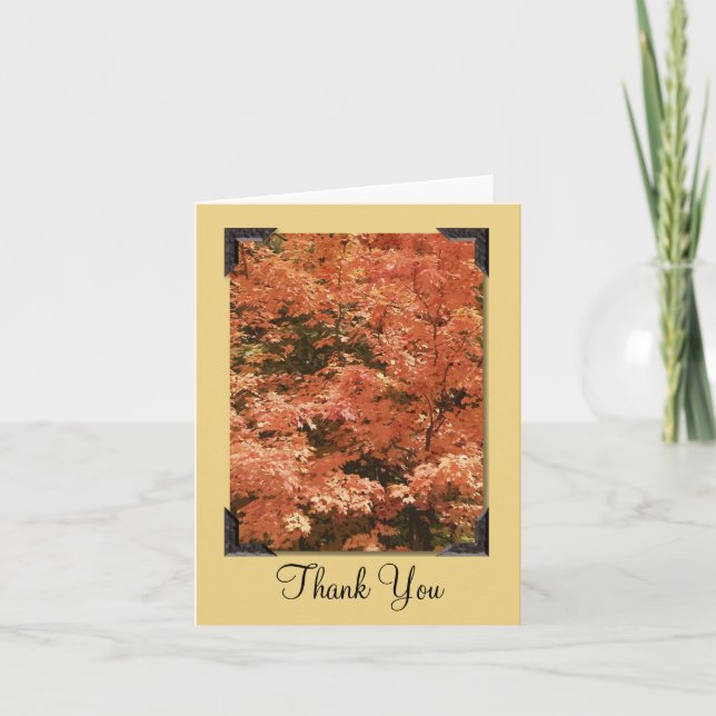 Feuilles d'orange merci (Devant)