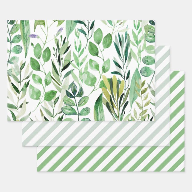 Feuilles élégantes d'aquarelle verte en bandes dia (Lot)