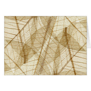 Feuilles en dentelle beige crème pâle