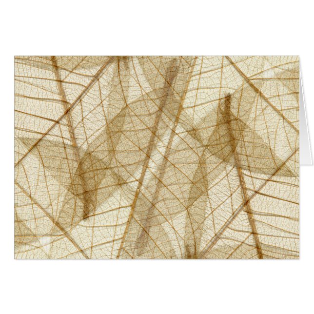Feuilles en dentelle beige crème pâle (Devant horizontal)
