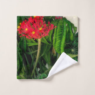 Feuilles et fleurs Plantes de corail