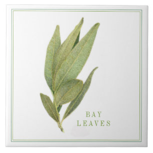 FEUILLES FRESH BAY 6"x6" Carreaux en céramique (+t