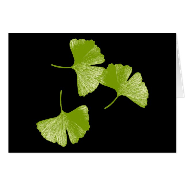 Feuilles Ginkgo (Devant horizontal)