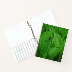 Feuilles Hosta avec Raindrops Garden Carnet