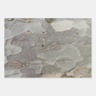 Feuilles papier d'emballage motif d'écorce d'arbre