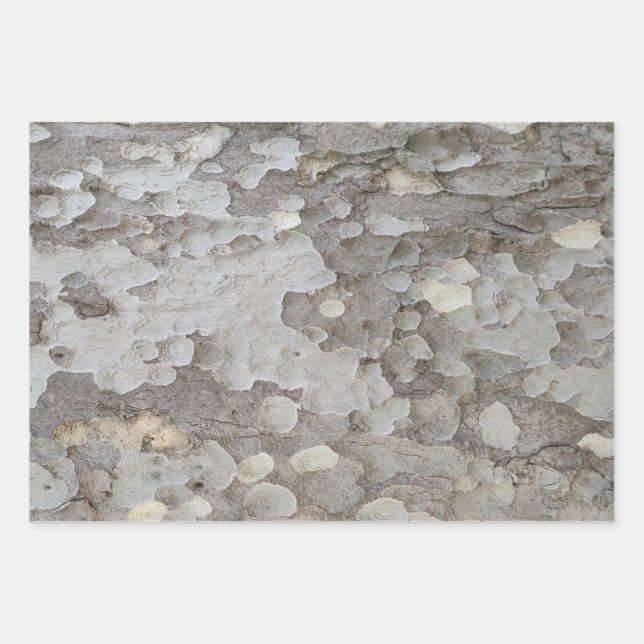 Feuilles papier d'emballage motif d'écorce d'arbre (Devant)