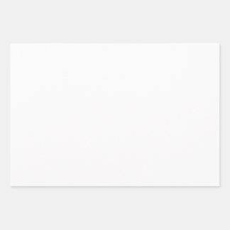 Feuilles papier d'enrobage de 19 po x 29 po, mat 1