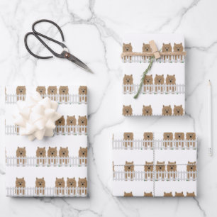 Feuilles papier d'enveloppement Norwich Terrier