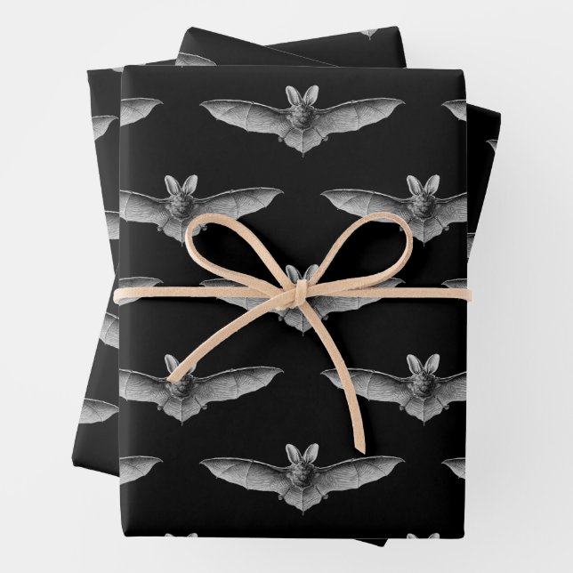 Feuilles papier enveloppant chauves-souris (En situation)