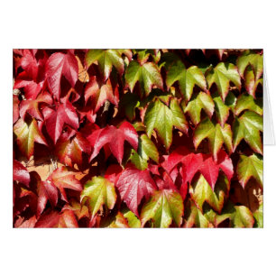 Feuilles rouges et vertes