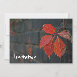 Feuilles rouges, invitation