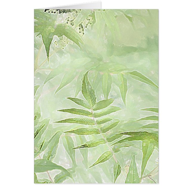 Feuilles Spirea - Carte Art numérique (Devant)