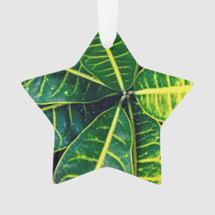 Feuilles verts