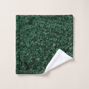 Feuilles verts