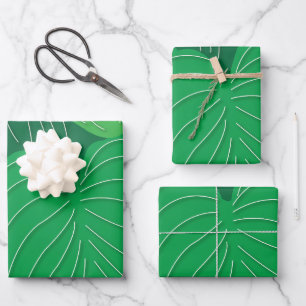 Feuilles verts