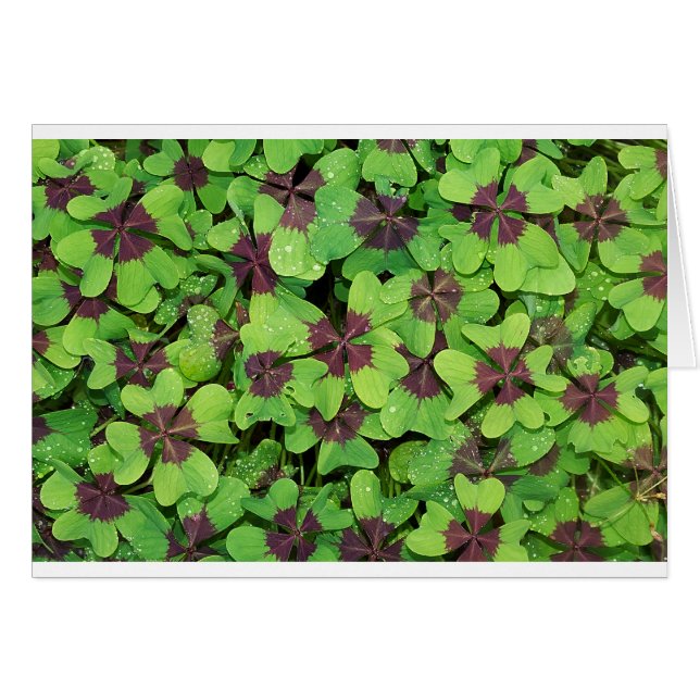 Feuilles verts (Devant horizontal)