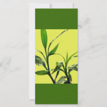 feuilles verts de bambou chanceux garder calme lir