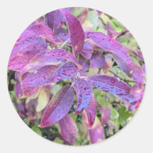 Feuilles violets sur autocollants