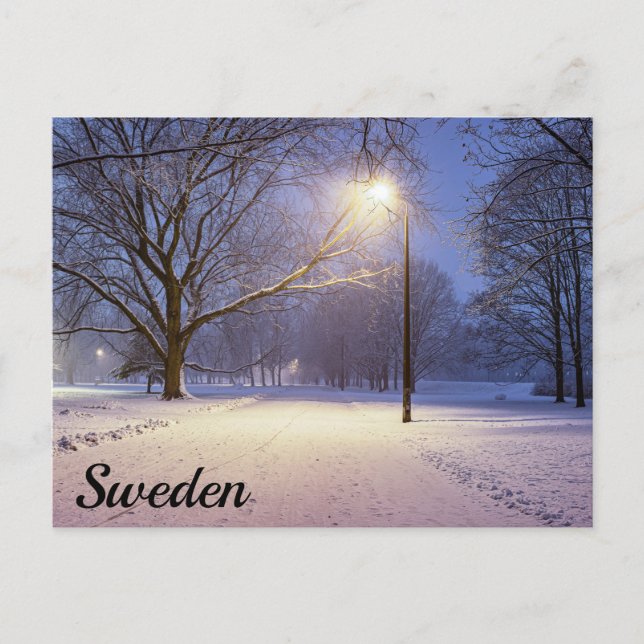 Feux de rue et couvert de neige carte postale (Devant)