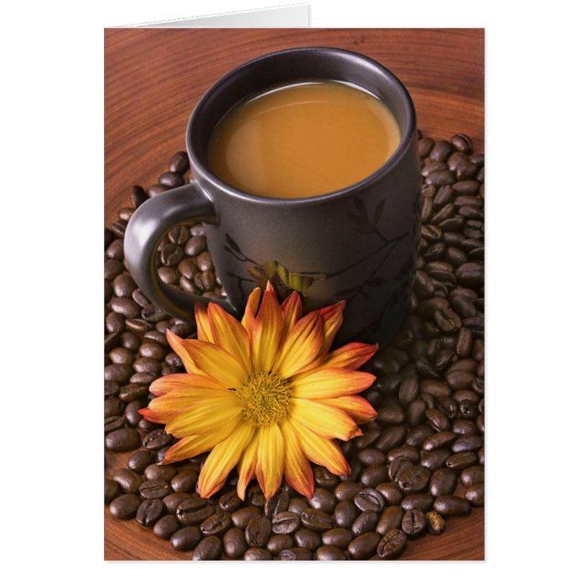 Fèves de café et marguerite jaune (Devant)