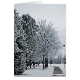 Février 2012 Hoar Frost Grand Forks, Dakota du Nor