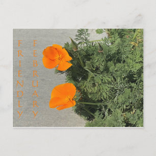 Février convivial ! Carte postale