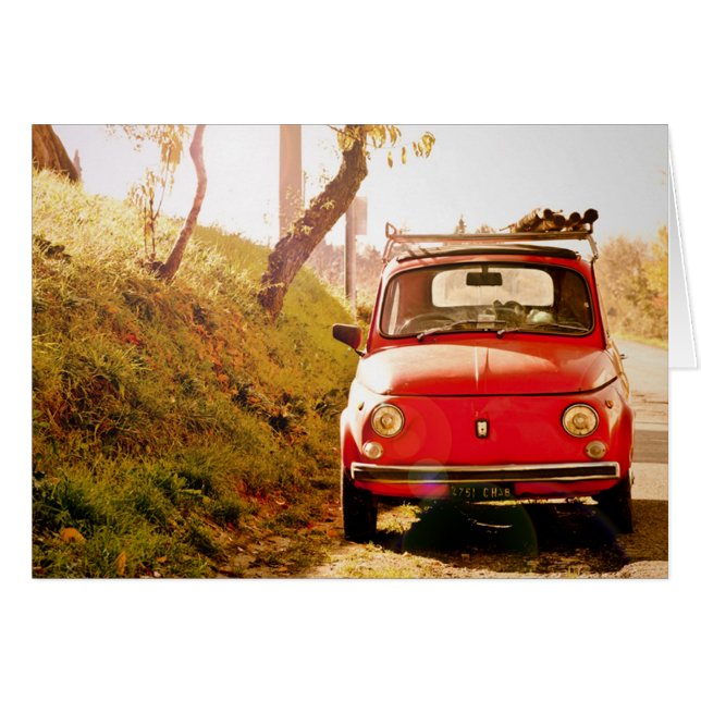 Fiat 500, Cinquecento en Italie (Devant horizontal)
