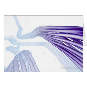 Fibres nerveuses stylisées