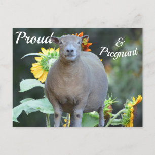 Fiche de Faire-part de grossesse