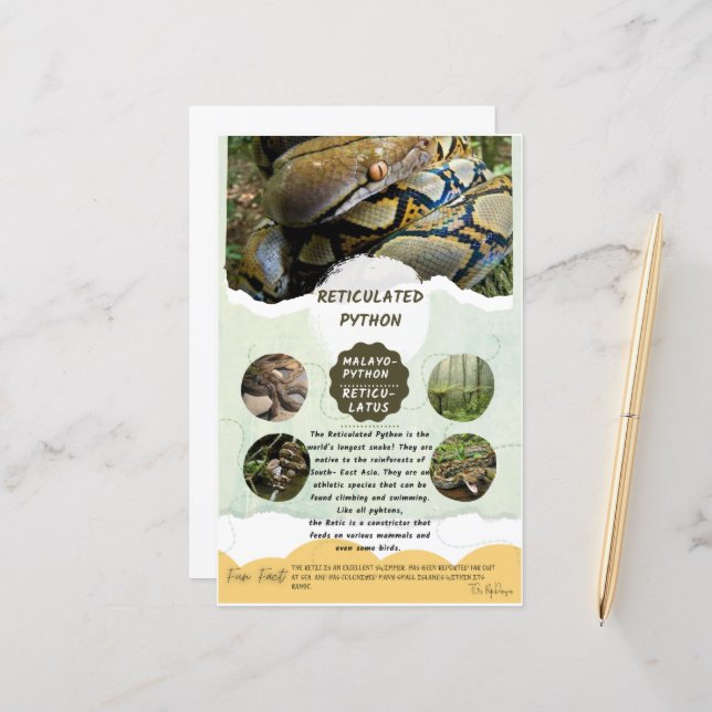 Fiche de soins Python réticulé (Devant/Arrière en situation)