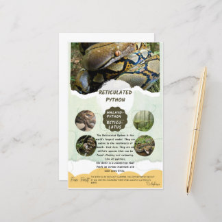 Fiche de soins Python réticulé