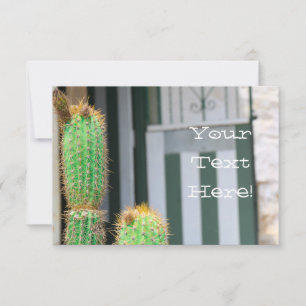 Fiche Plat de Cactus Vert Texte