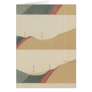 Fiche spéciale Hunter Park