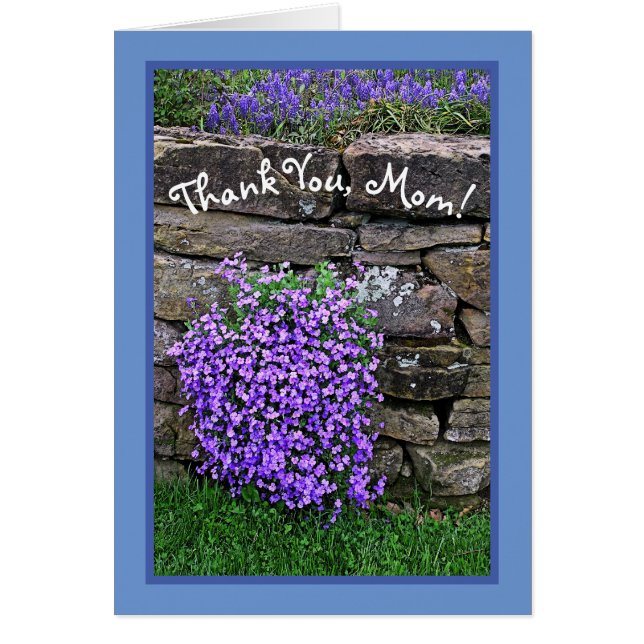 FIER DE MAMAN/FLEURS VIOLETTES CASCADANT SUR UN MU (Devant)
