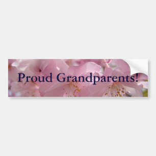 Fier Grand-parents! autocollants pare-chocs Pink B