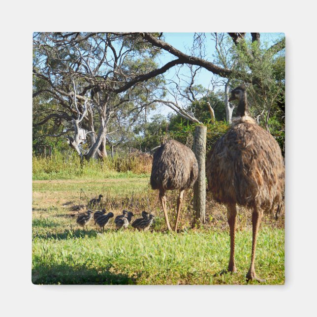 Fier Parents Emu, Aimant Frigo (Devant)