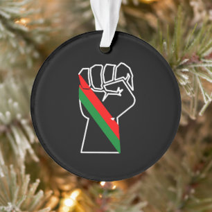 fierté noire drapeau rouge vert poing panafricain