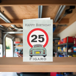 Figarades Emerald Green Figaro voiture carte d'ann