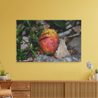 figue de barbarie sur pierres impression sur toile