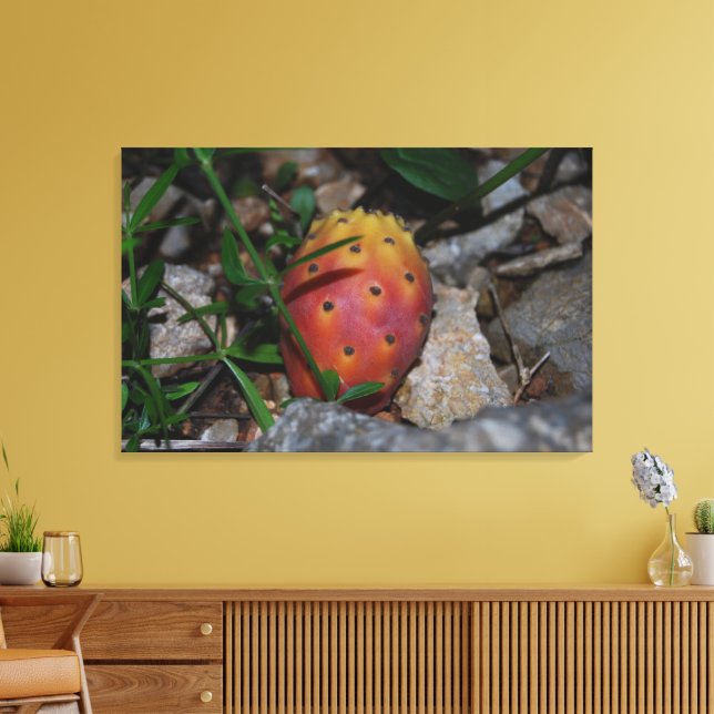 figue de barbarie sur pierres impression sur toile (Insitu(Salon))