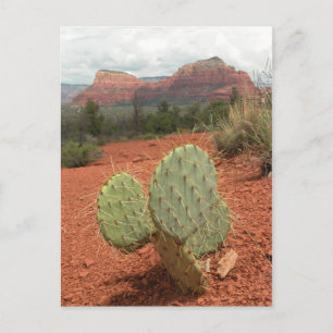 Figuier de barbarie dans Sedona, Arizona - carte