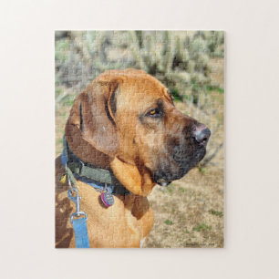 Fila Brasiliero Mastiff Puzzle