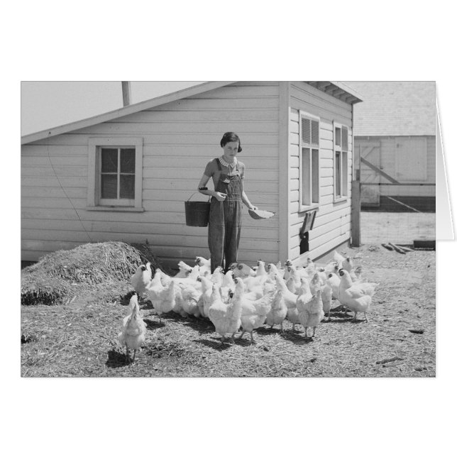 Fille de ferme nourrissant des poulets, 1936 (Devant horizontal)